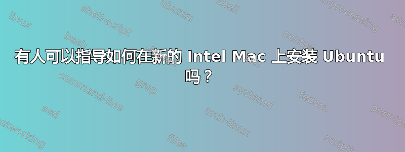 有人可以指导如何在新的 Intel Mac 上安装 Ubuntu 吗？