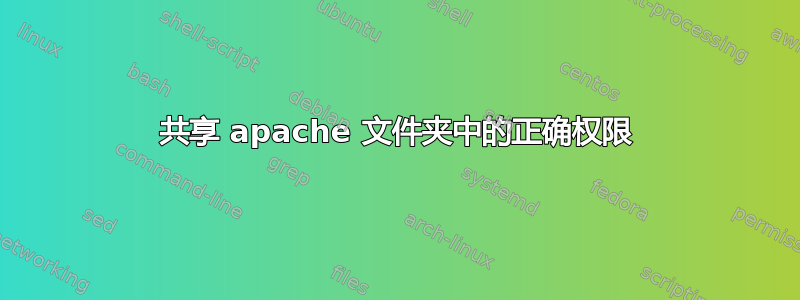 共享 apache 文件夹中的正确权限