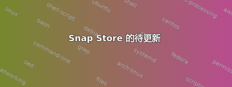 Snap Store 的待更新