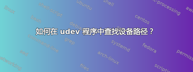 如何在 udev 程序中查找设备路径？