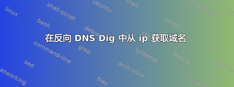 在反向 DNS Dig 中从 ip 获取域名