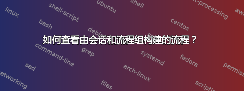 如何查看由会话和流程组构建的流程？