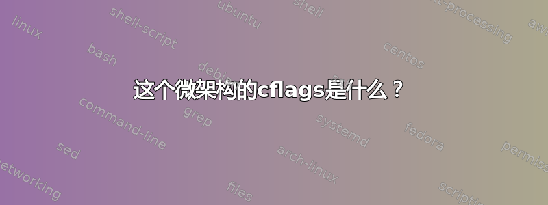 这个微架构的cflags是什么？