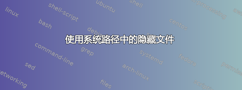 使用系统路径中的隐藏文件