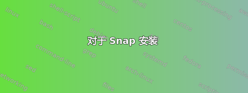 对于 Snap 安装