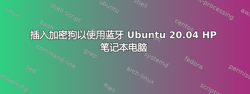 插入加密狗以使用蓝牙 Ubuntu 20.04 HP 笔记本电脑