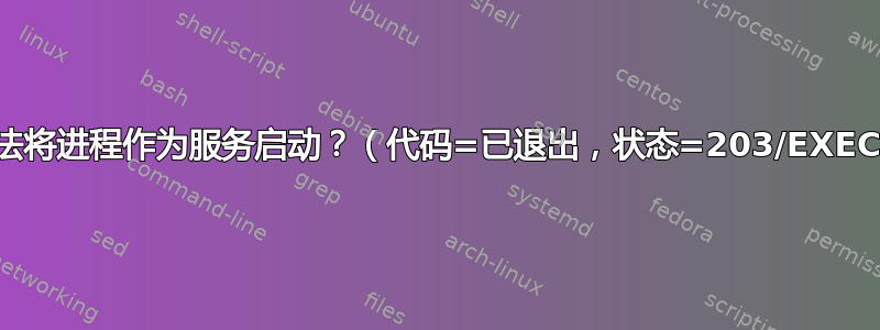 无法将进程作为服务启动？（代码=已退出，状态=203/EXEC）