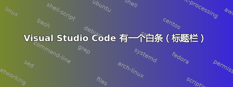 Visual Studio Code 有一个白条（标题栏）