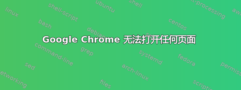 Google Chrome 无法打开任何页面