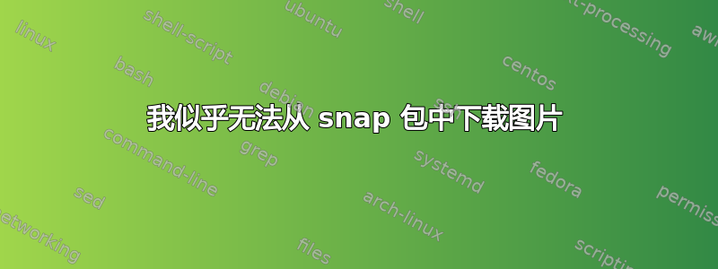 我似乎无法从 snap 包中下载图片