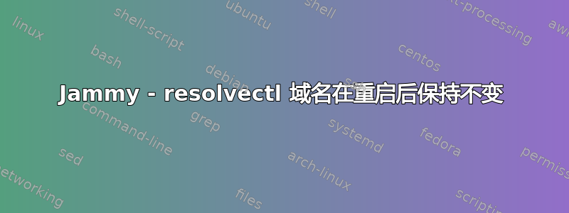 Jammy - resolvectl 域名在重启后保持不变