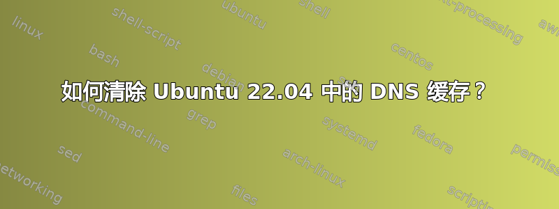 如何清除 Ubuntu 22.04 中的 DNS 缓存？