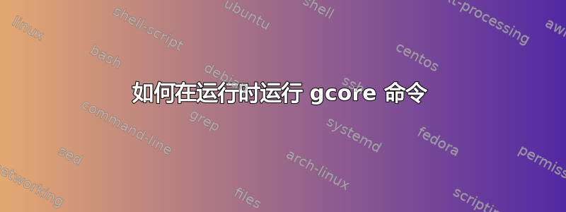 如何在运行时运行 gcore 命令