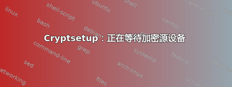 Cryptsetup：正在等待加密源设备