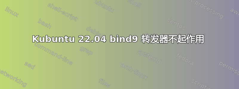 Kubuntu 22.04 bind9 转发器不起作用