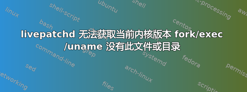 livepatchd 无法获取当前内核版本 fork/exec /uname 没有此文件或目录