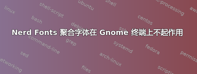 Nerd Fonts 聚合字体在 Gnome 终端上不起作用