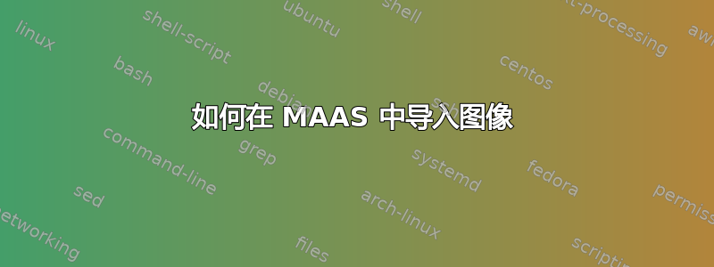 如何在 MAAS 中导入图像