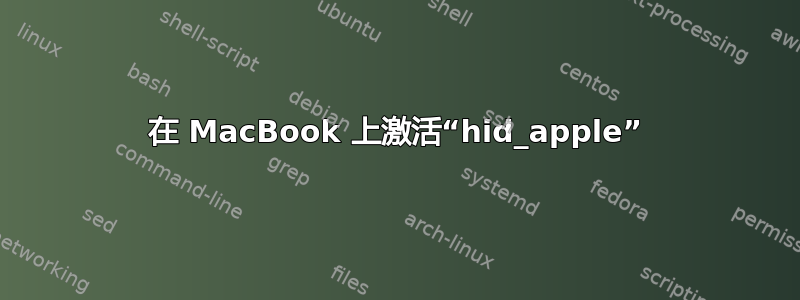 在 MacBook 上激活“hid_apple”