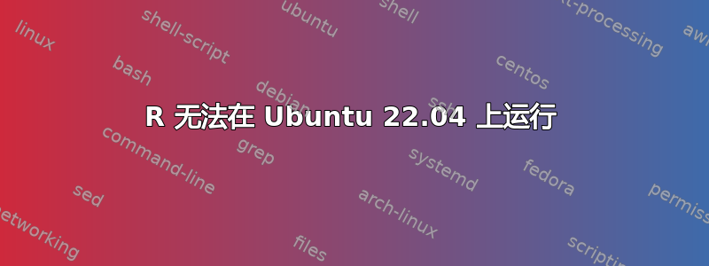 R 无法在 Ubuntu 22.04 上运行