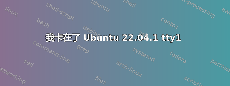 我卡在了 Ubuntu 22.04.1 tty1