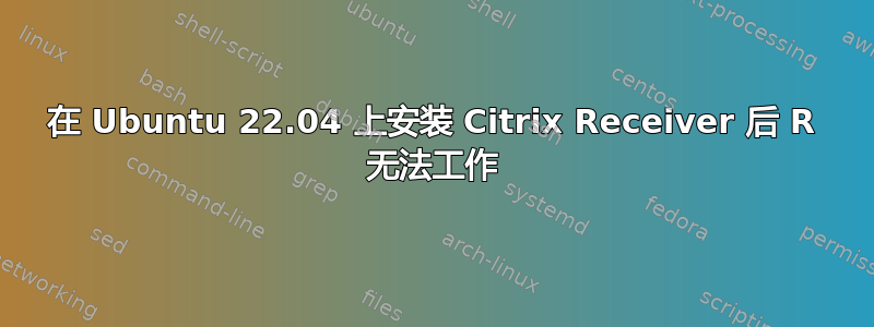 在 Ubuntu 22.04 上安装 Citrix Receiver 后 R 无法工作