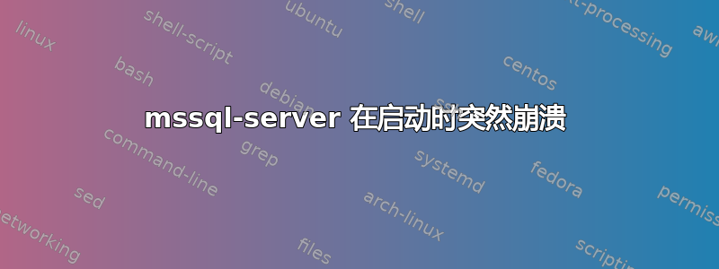 mssql-server 在启动时突然崩溃