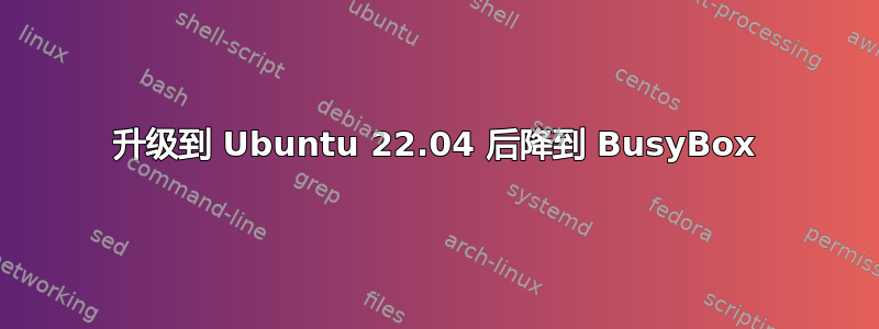 升级到 Ubuntu 22.04 后降到 BusyBox