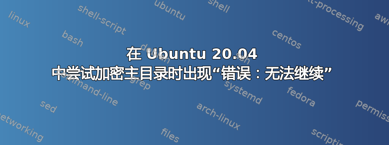 在 Ubuntu 20.04 中尝试加密主目录时出现“错误：无法继续”