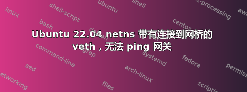 Ubuntu 22.04 netns 带有连接到网桥的 veth，无法 ping 网关