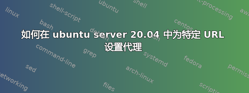 如何在 ubuntu server 20.04 中为特定 URL 设置代理