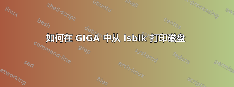 如何在 GIGA 中从 lsblk 打印磁盘