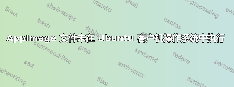 AppImage 文件未在 Ubuntu 客户机操作系统中执行