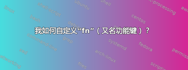 我如何自定义“fn”（又名功能键）？