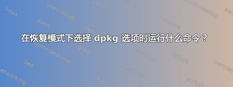 在恢复模式下选择 dpkg 选项时运行什么命令？