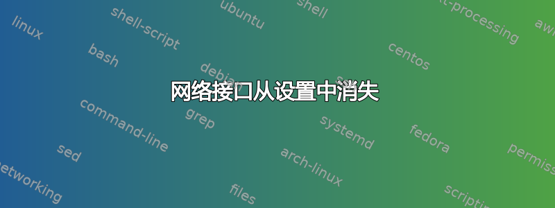 网络接口从设置中消失