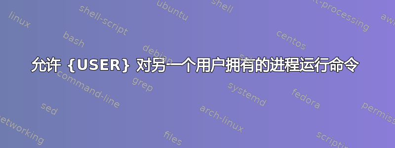 允许 {USER} 对另一个用户拥有的进程运行命令