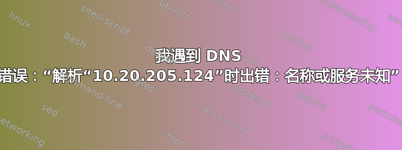 我遇到 DNS 错误：“解析“10.20.205.124”时出错：名称或服务未知”