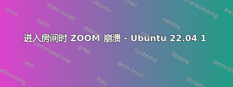 进入房间时 ZOOM 崩溃 - Ubuntu 22.04 1