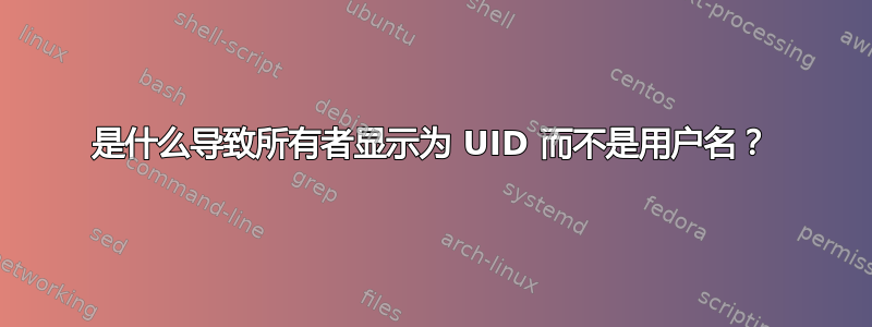 是什么导致所有者显示为 UID 而不是用户名？