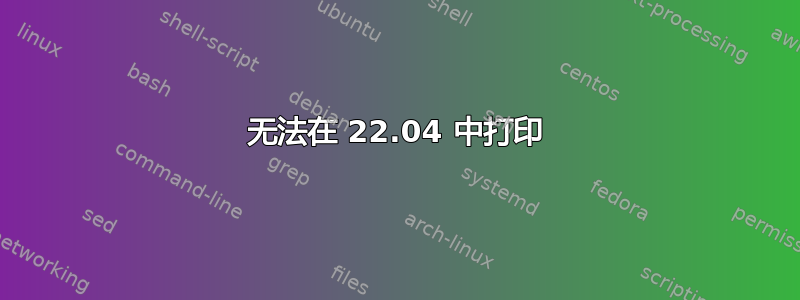 无法在 22.04 中打印