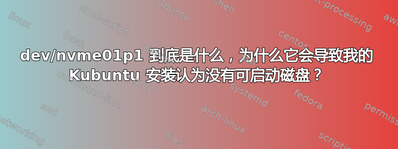 dev/nvme01p1 到底是什么，为什么它会导致我的 Kubuntu 安装认为没有可启动磁盘？