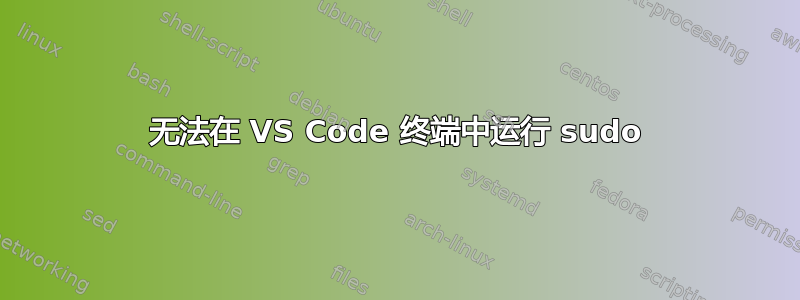 无法在 VS Code 终端中运行 sudo