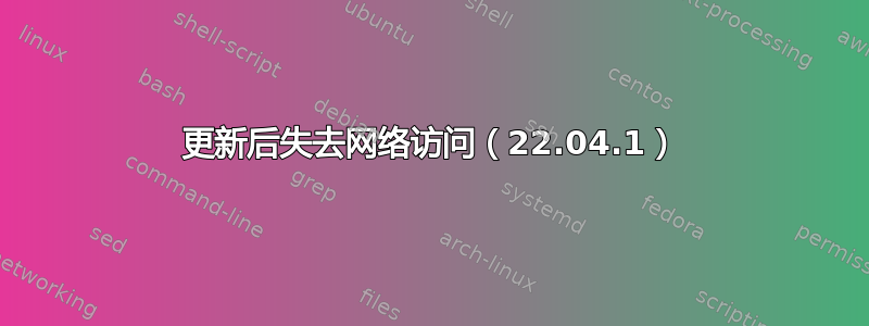 更新后失去网络访问（22.04.1）