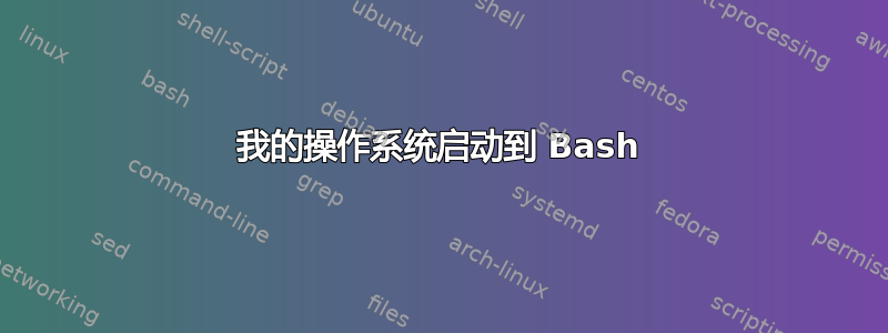 我的操作系统启动到 Bash