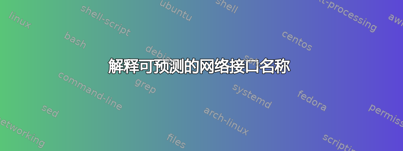 解释可预测的网络接口名称