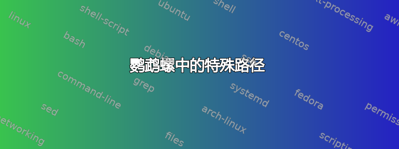 鹦鹉螺中的特殊路径