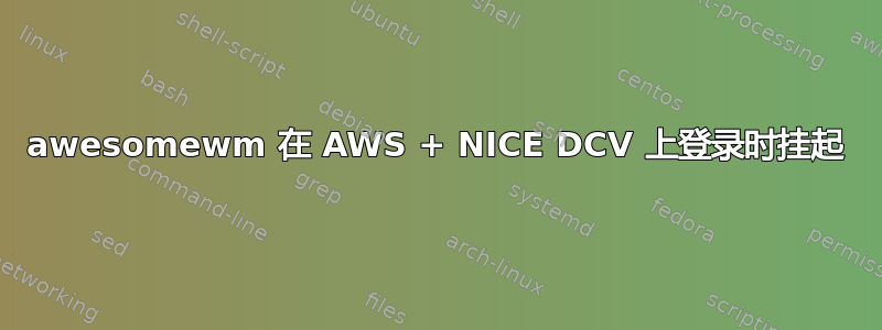 awesomewm 在 AWS + NICE DCV 上登录时挂起