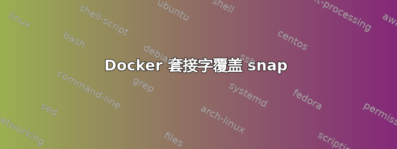 Docker 套接字覆盖 snap