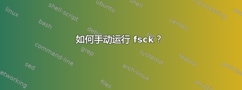 如何手动运行 fsck？